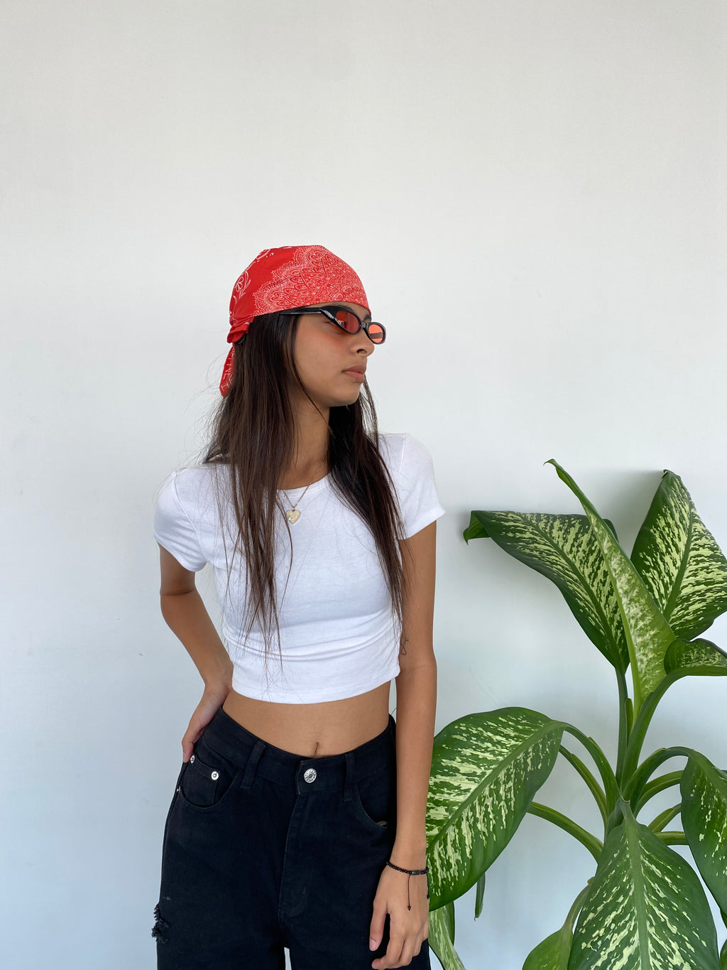 Bandana Red