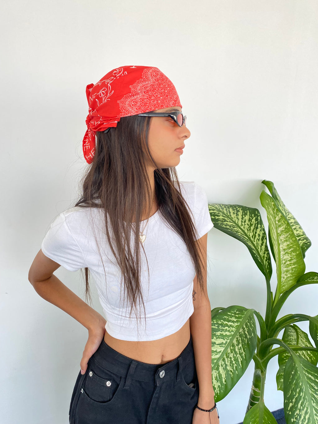 Bandana Red